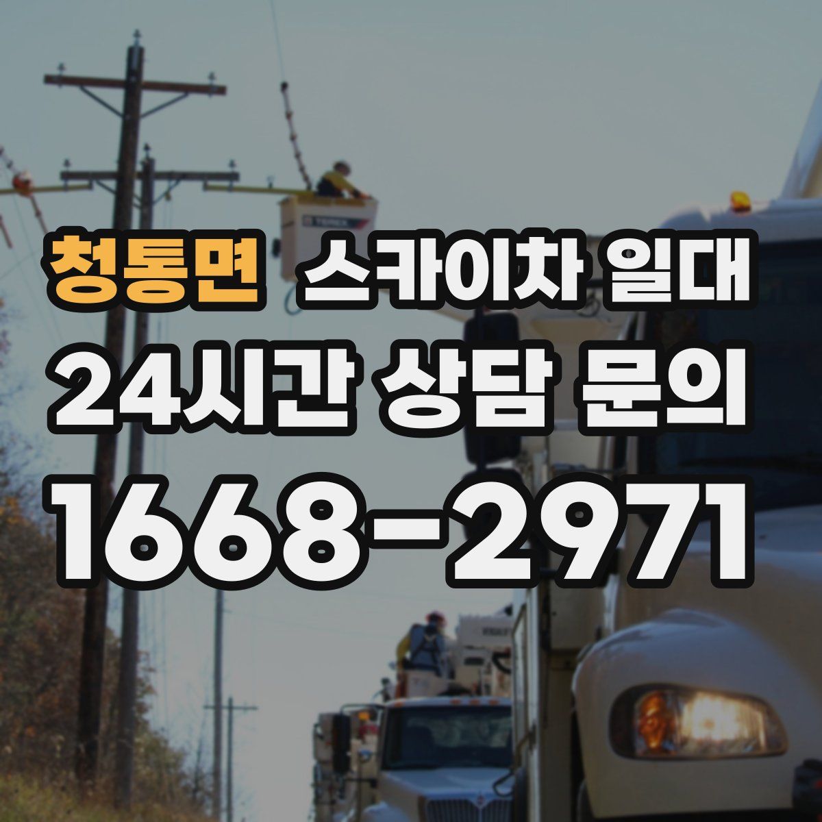 청통면 스카이차 일대