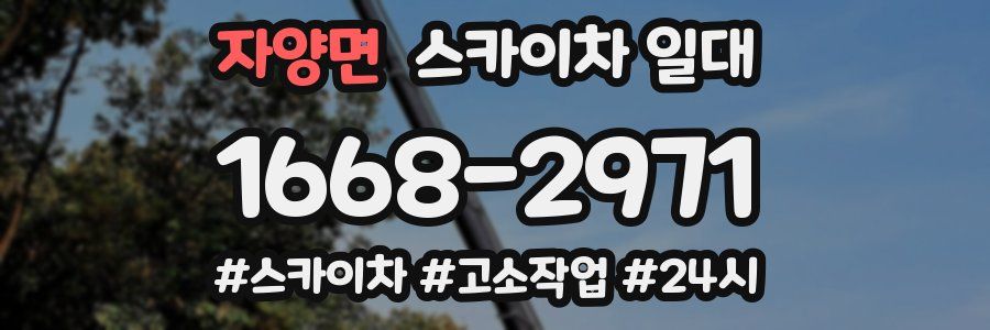 자양면 스카이차 일대