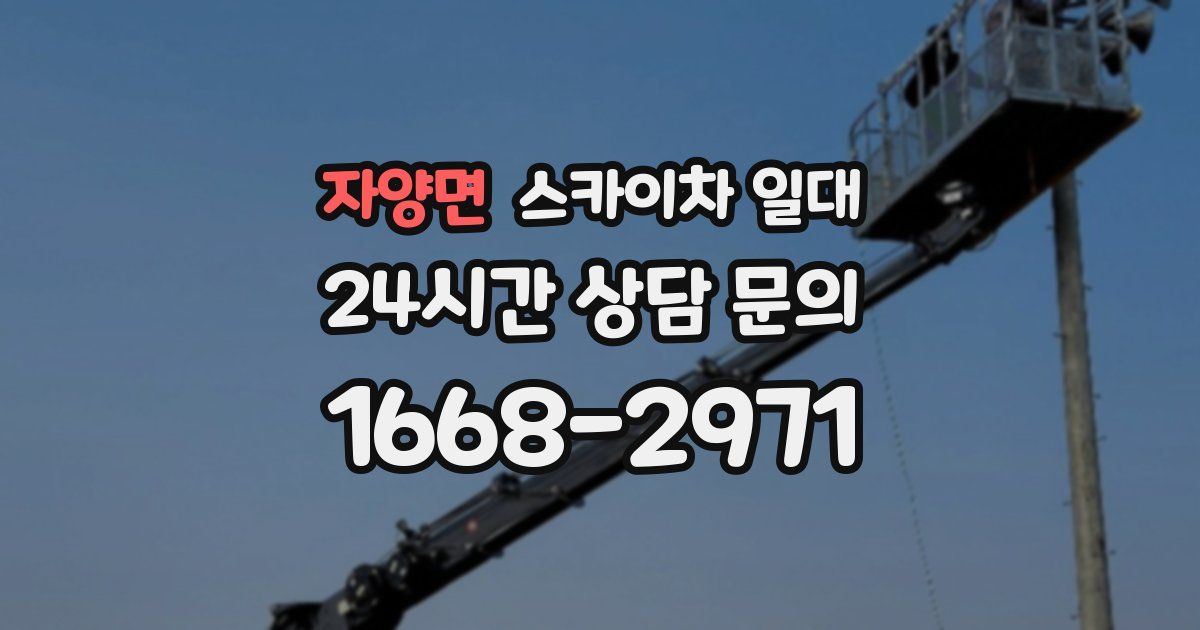 자양면 스카이차 일대