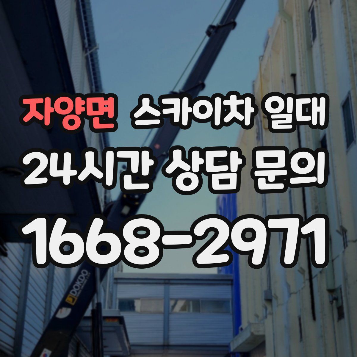 자양면 스카이차 일대