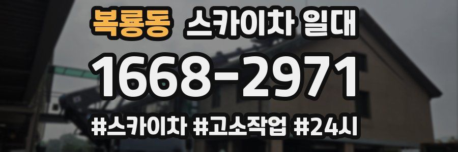 복룡동 스카이차 일대