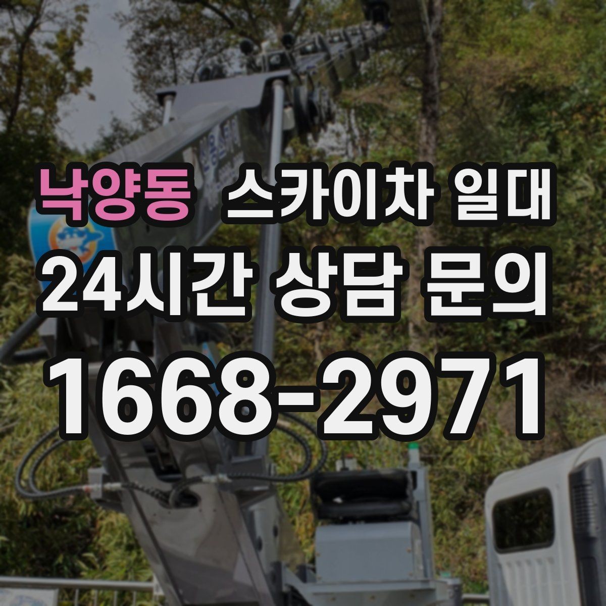 낙양동 스카이차 일대 초보자가 놓치기 쉬운 부분