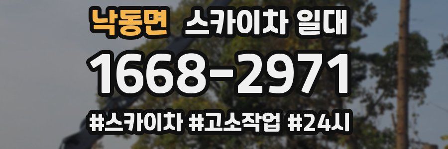 낙동면 스카이차 일대