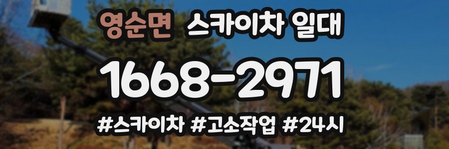 영순면 스카이차 일대