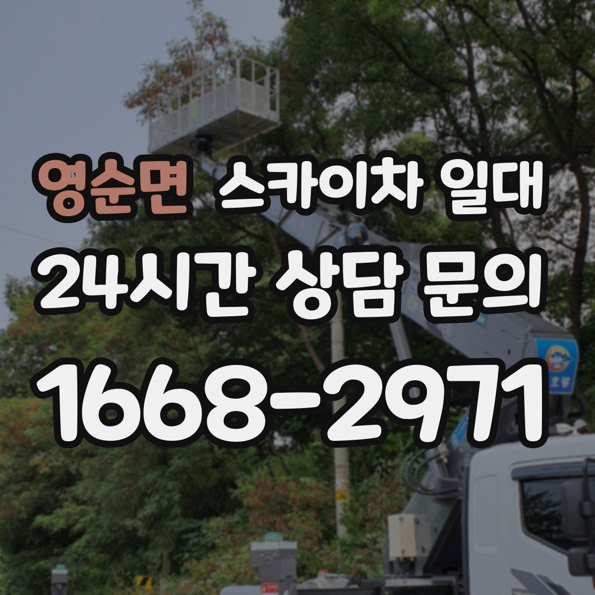 영순면 스카이차 일대