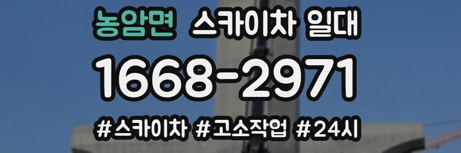 농암면 스카이차 일대
