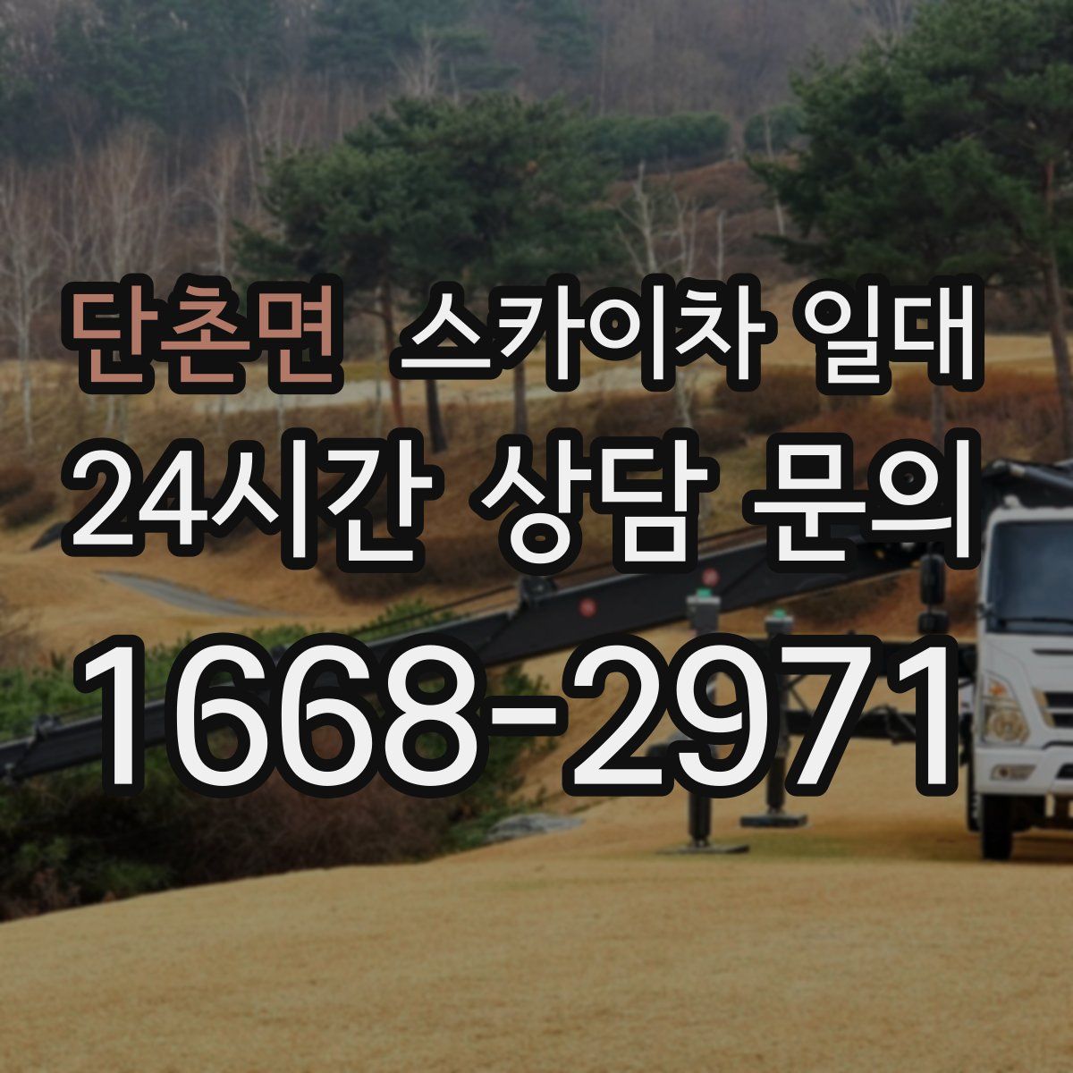 단촌면 스카이차 일대