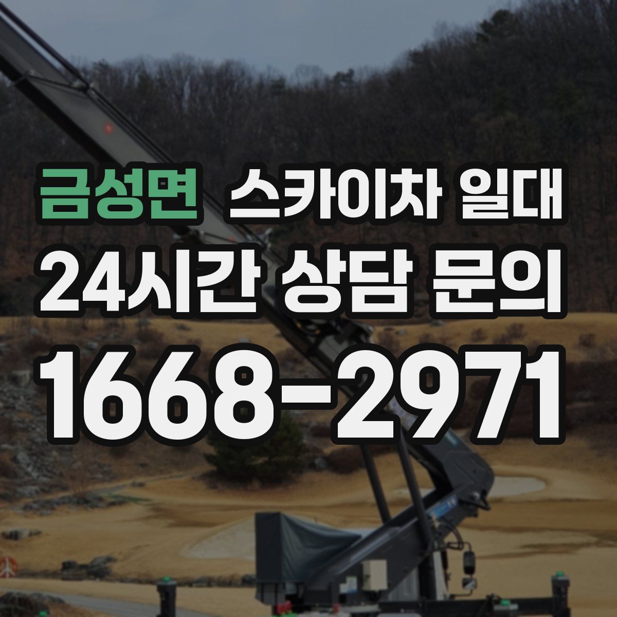금성면 스카이차 일대