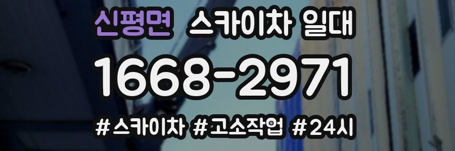 신평면 스카이차 일대