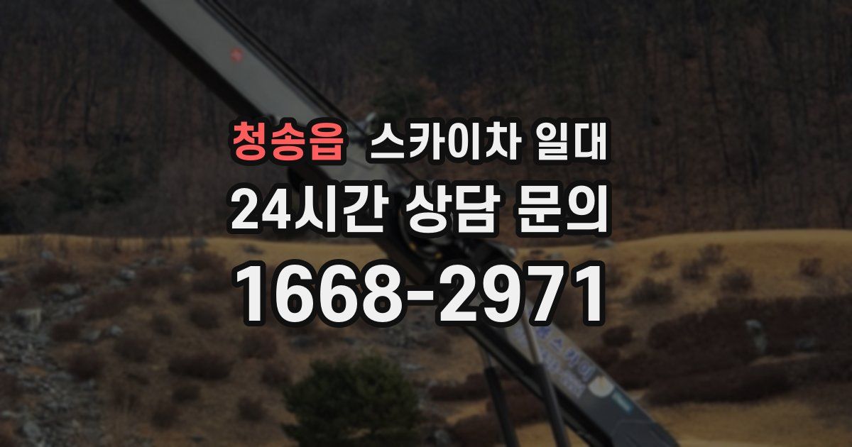 청송읍 스카이차 일대