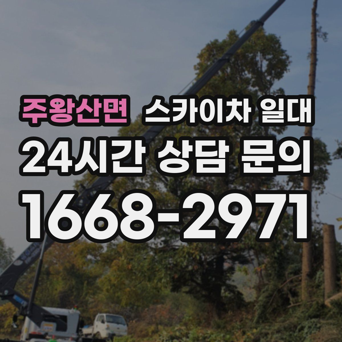 주왕산면 스카이차 일대