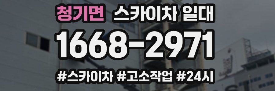 청기면 스카이차 일대
