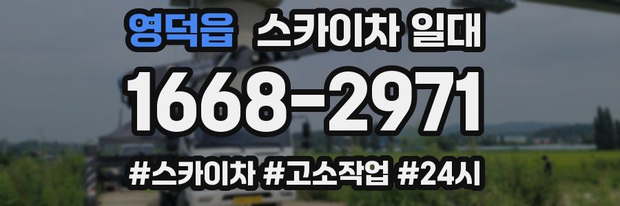 영덕읍 스카이차 일대
