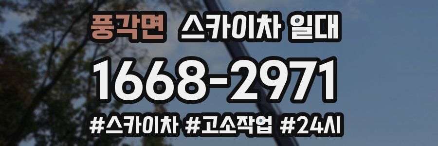 풍각면 스카이차 일대