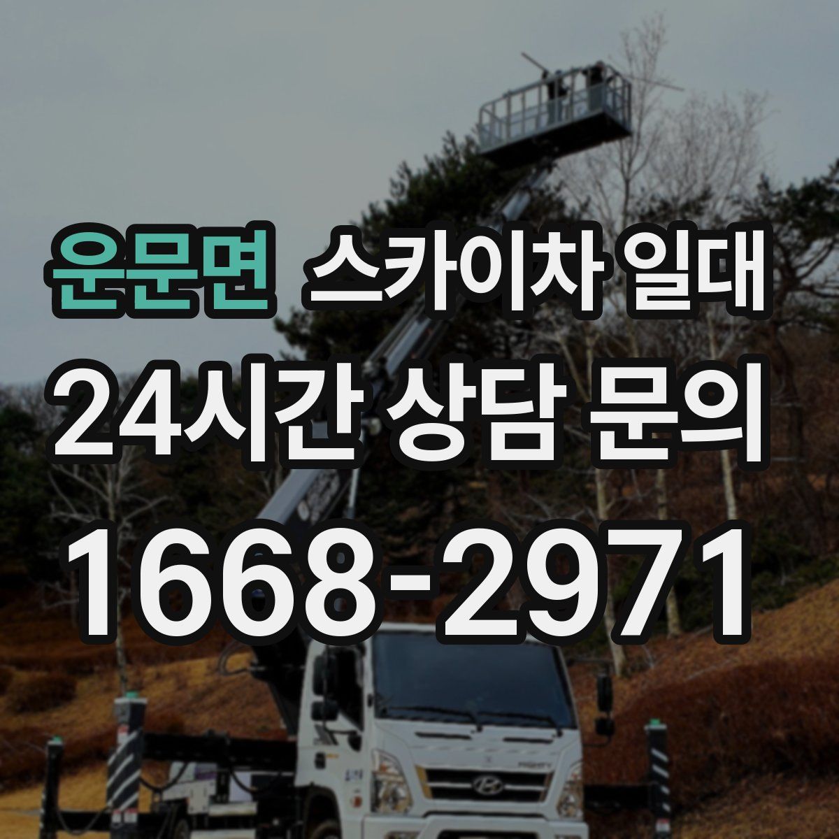 운문면 스카이차 일대