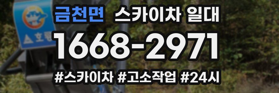 금천면 스카이차 일대