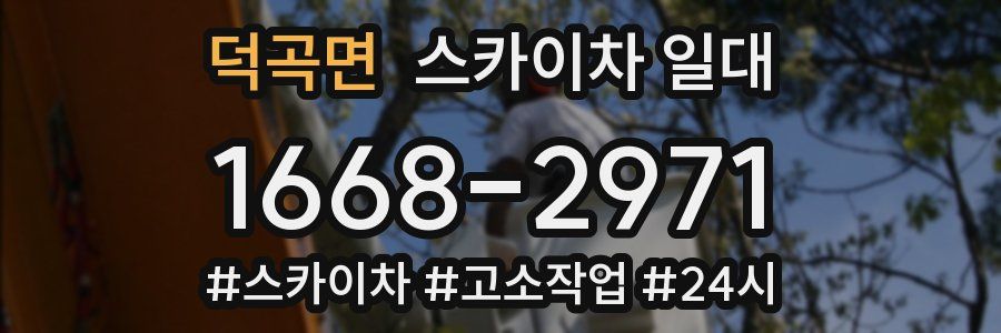 덕곡면 스카이차 일대