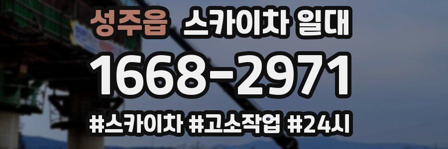 성주읍 스카이차 일대