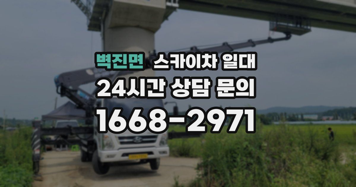 벽진면 스카이차 일대