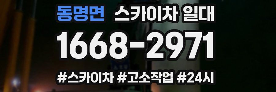 동명면 스카이차 일대
