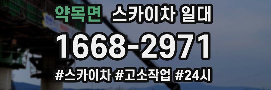 약목면 스카이차 일대