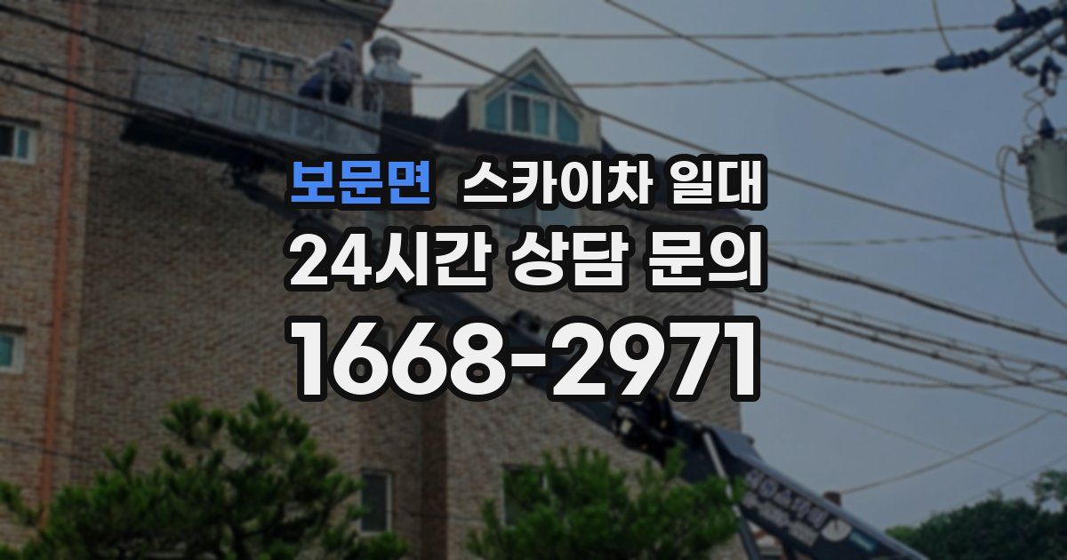 보문면 스카이차 일대