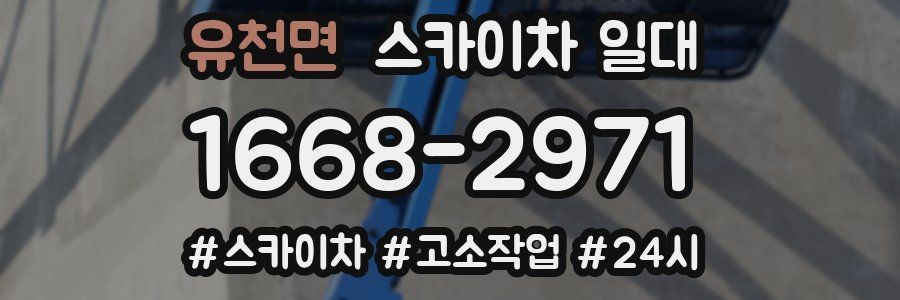 유천면 스카이차 일대