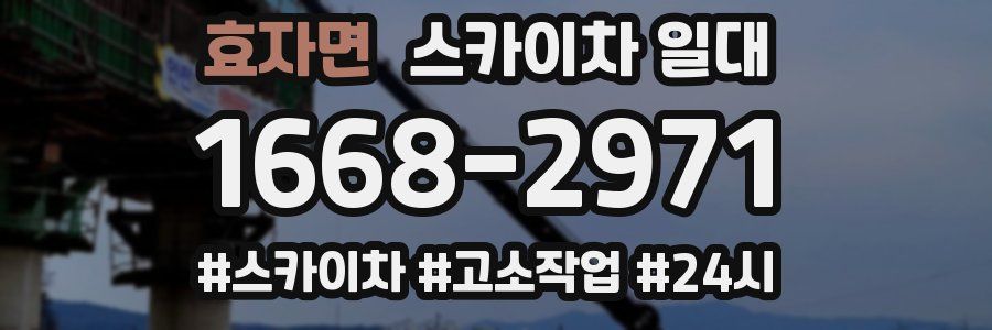 효자면 스카이차 일대