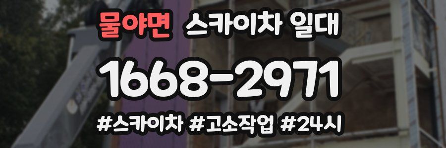 물야면 스카이차 일대