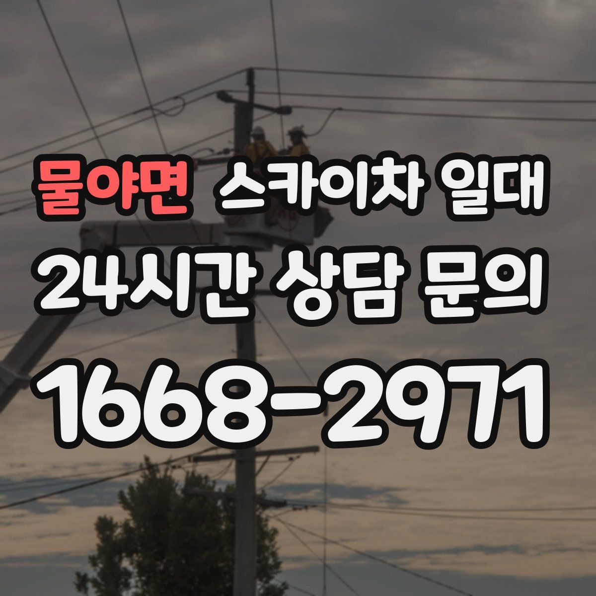 물야면 스카이차 일대