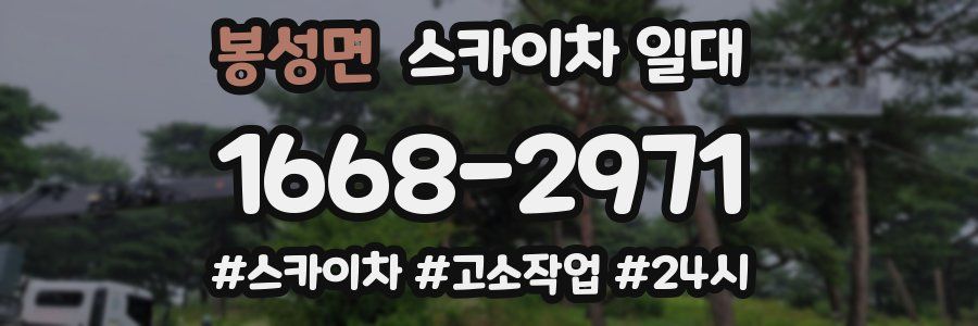 봉성면 스카이차 일대