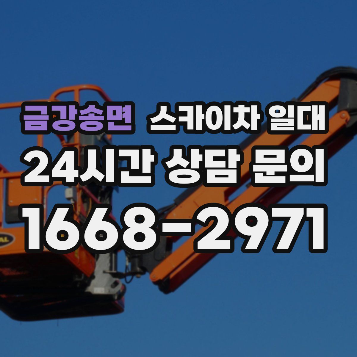 금강송면 스카이차 일대