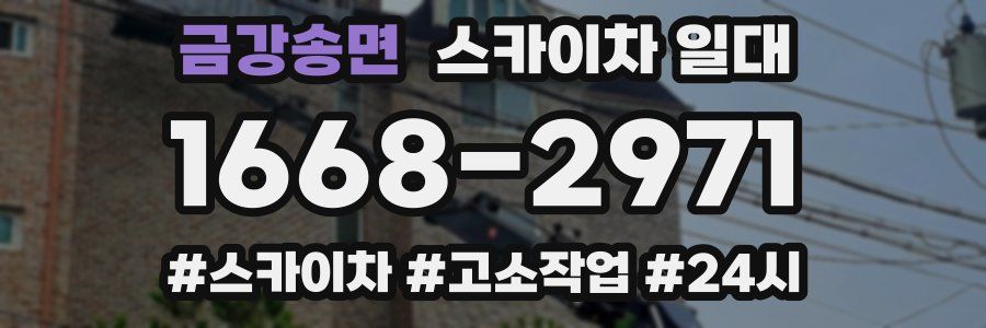금강송면 스카이차 일대