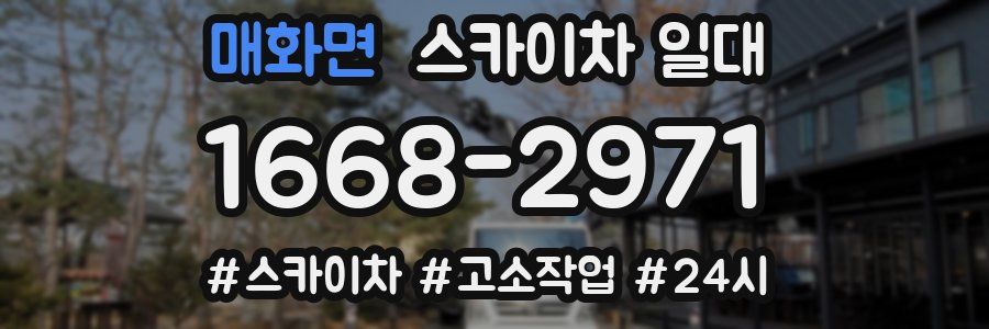 매화면 스카이차 일대