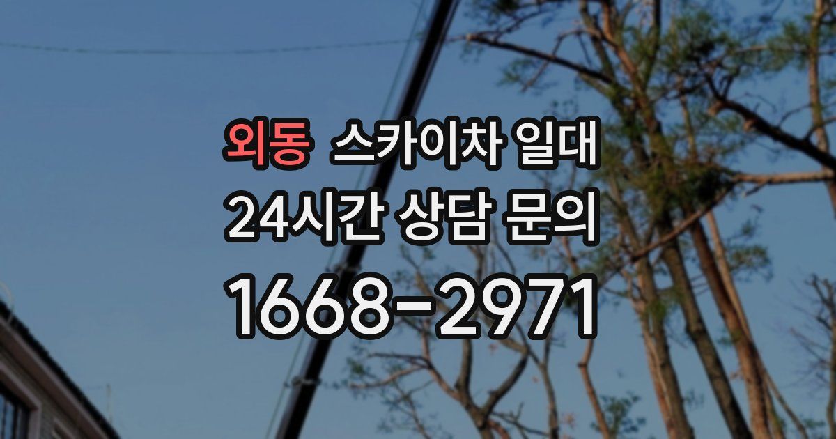 외동 스카이차 일대