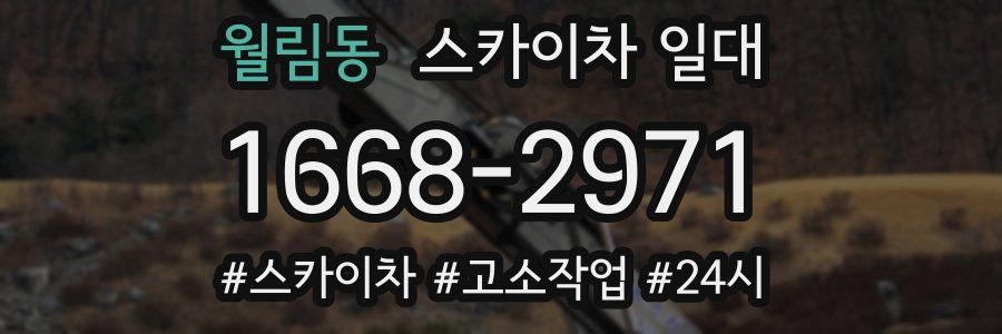 월림동 스카이차 일대