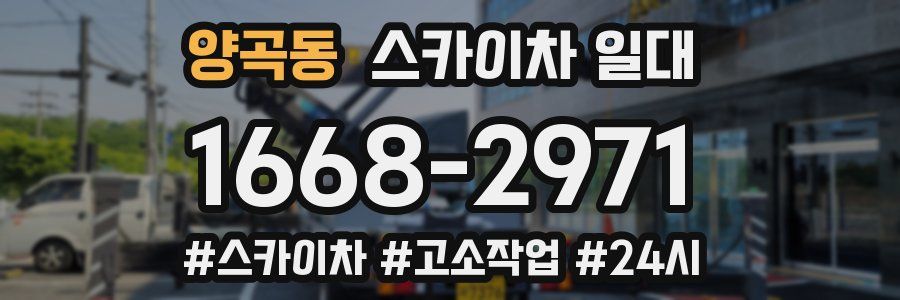 양곡동 스카이차 일대