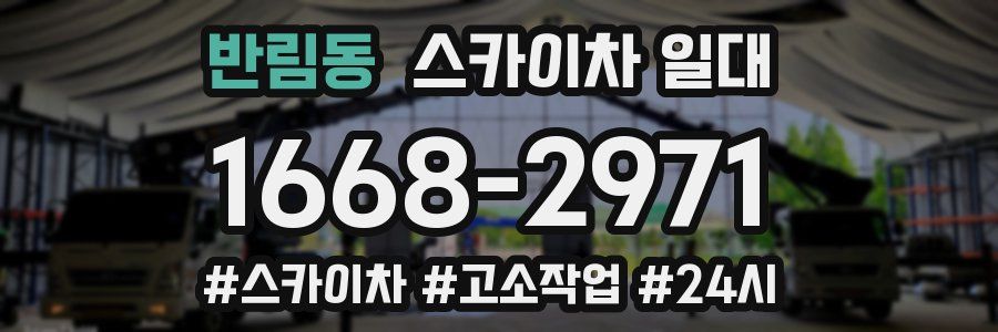 반림동 스카이차 일대