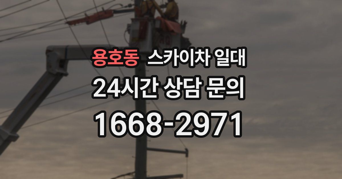 용호동 스카이차 일대