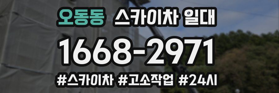 오동동 스카이차 일대