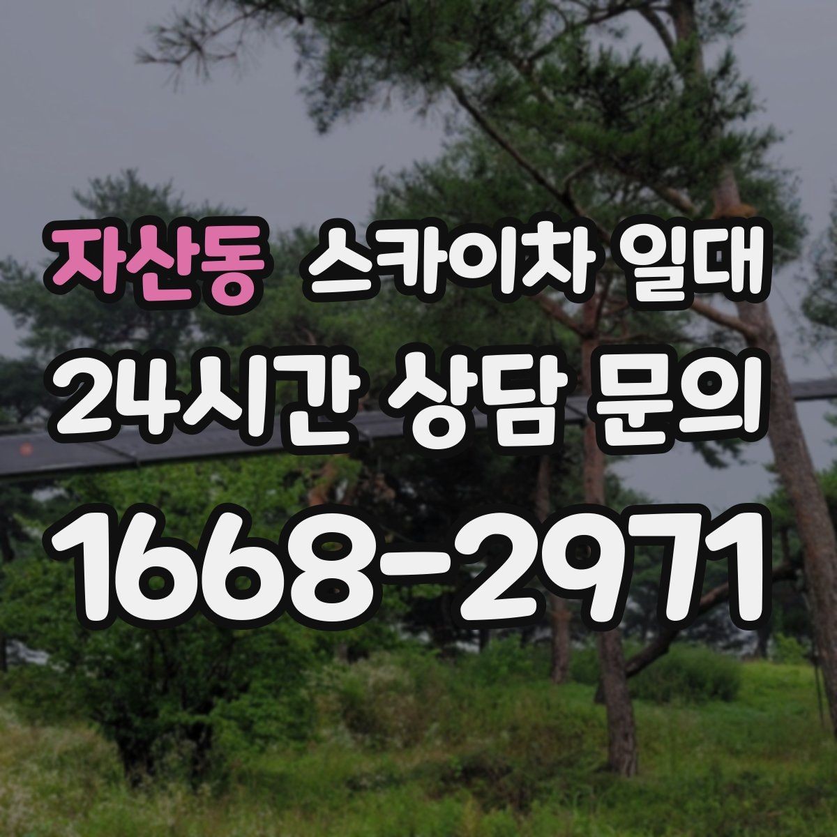 자산동 스카이차 일대 장비 운용 범위와 실제 활용