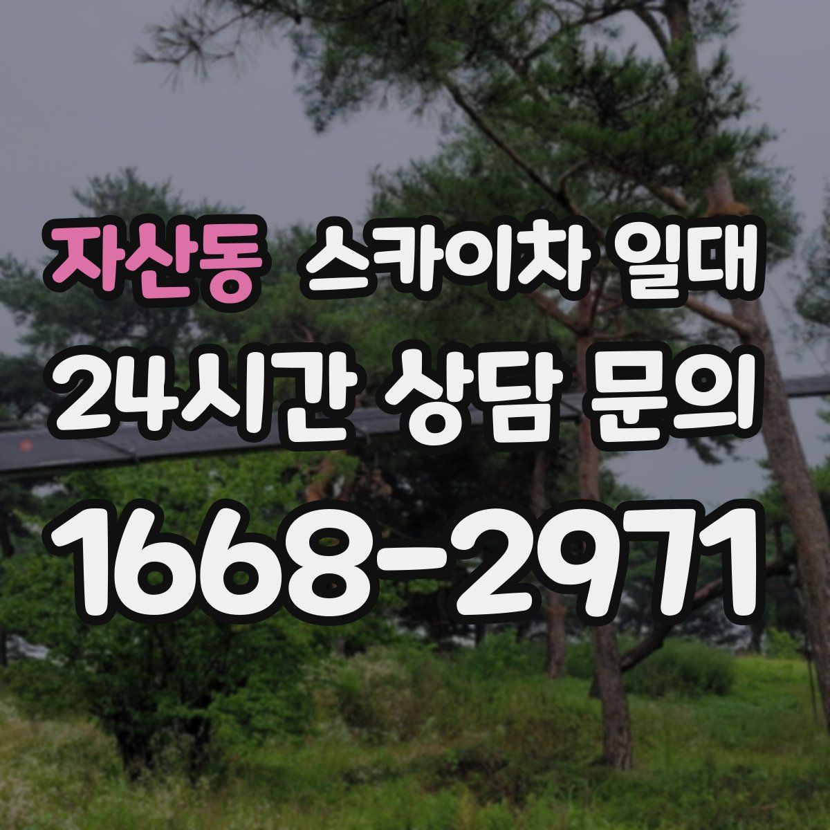 자산동 스카이차 일대