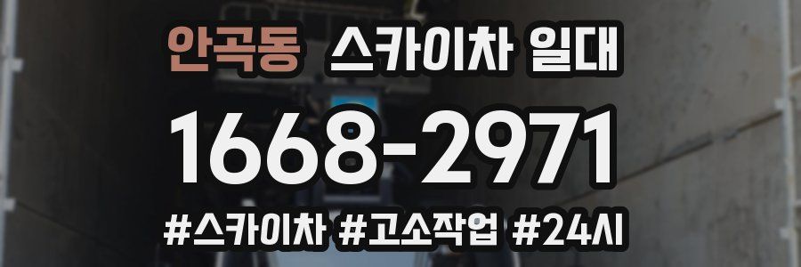 안곡동 스카이차 일대