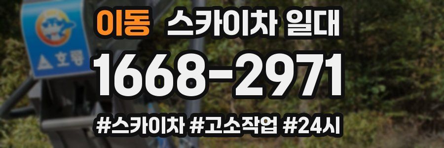 이동 스카이차 일대
