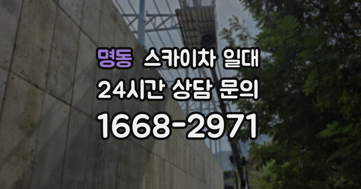 명동 스카이차 일대