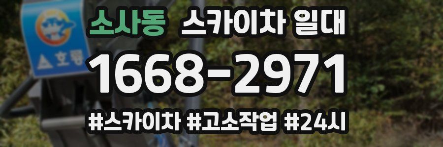 소사동 스카이차 일대