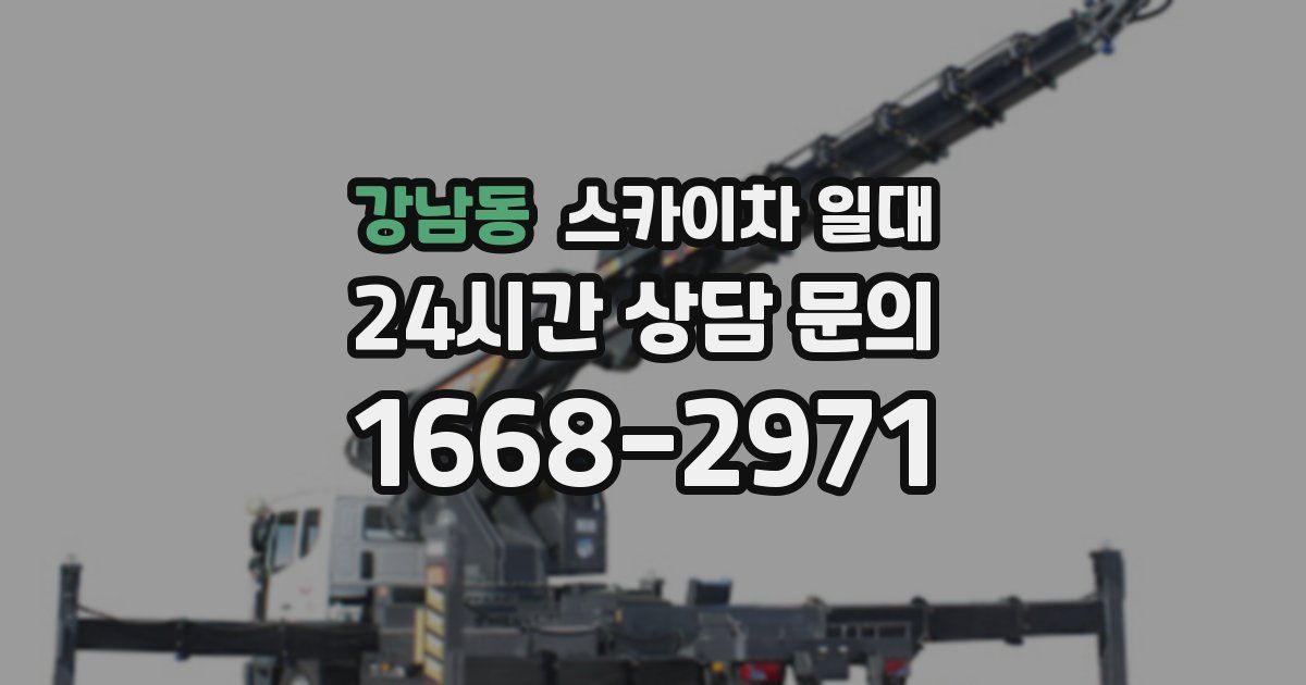 강남동 스카이차 일대