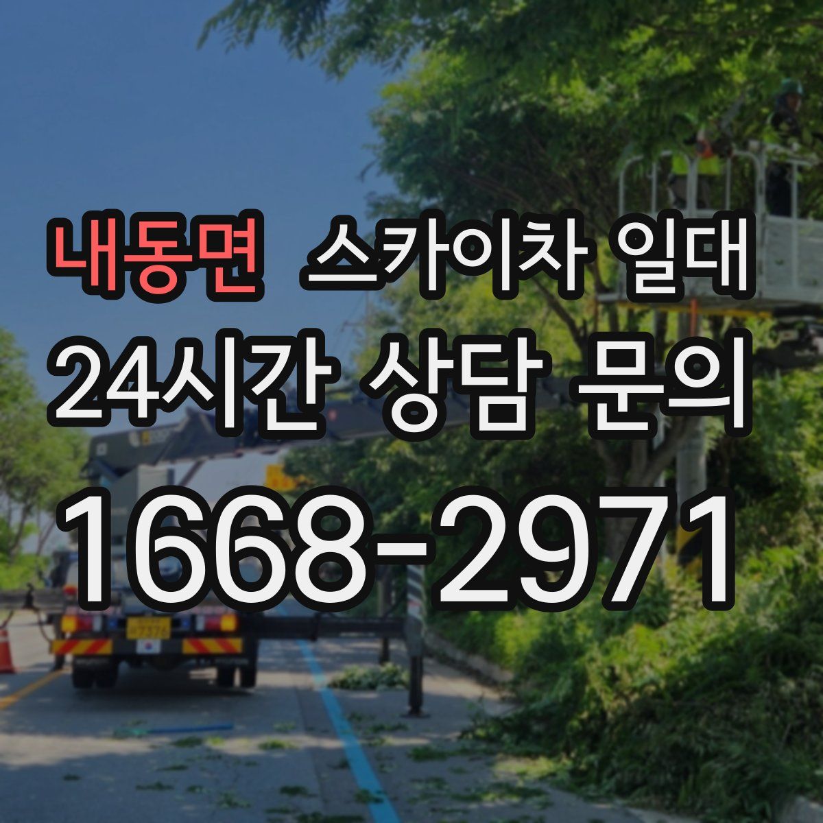 내동면 스카이차 일대
