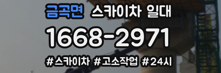 금곡면 스카이차 일대
