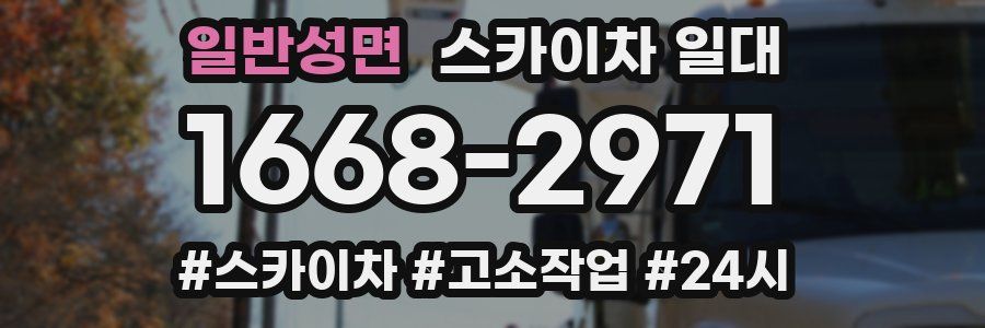 일반성면 스카이차 일대